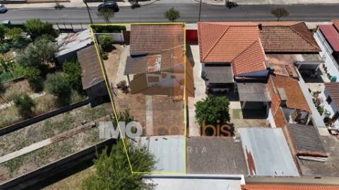 Moradia Térrea com anexos e logradouro em Alpiarça