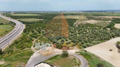 TERRENO URBANO COM VISTA CAMPO – PORTELA DAS PADEIRAS, SANTARÉM