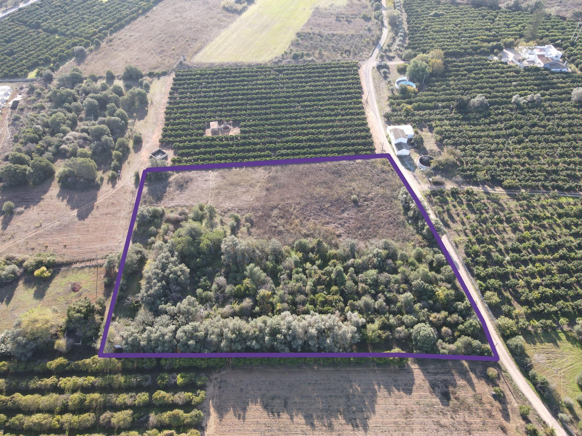 Terreno Rustico em Murtais - Moncarapacho - Fuzeta