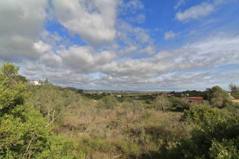 Terreno Rustico em Laranjeiro - Moncarapacho - Olhão