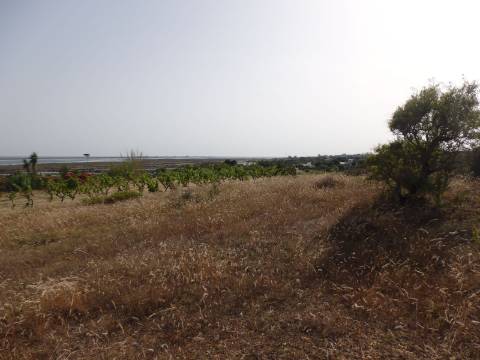 Quinta Rural perto da Fuzeta - Bias Do Sul