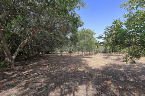 Moradia T2 + 2 para renovar em Arroio - Luz de Tavira