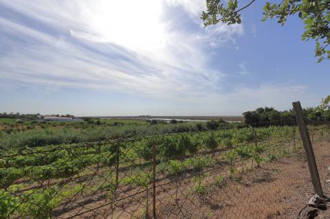 Moradia T2 + 2 para renovar em Arroio - Luz de Tavira