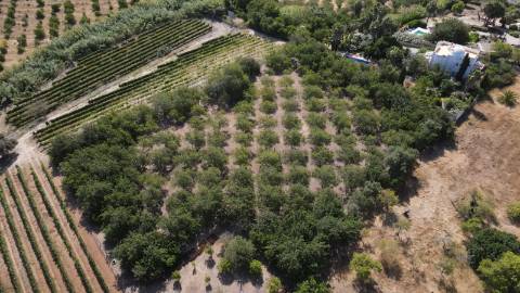 Moradia T2 + 2 para renovar em Arroio - Luz de Tavira