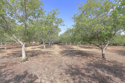 Moradia T2 + 2 para renovar em Arroio - Luz de Tavira
