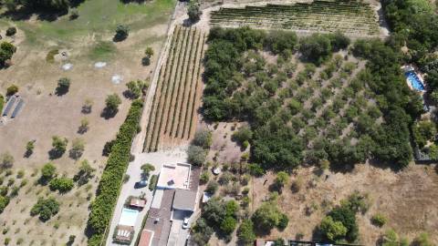 Moradia T2 + 2 para renovar em Arroio - Luz de Tavira