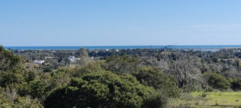 Terreno com Vista Mar e Ria Formosa - Quelfes, Algarve