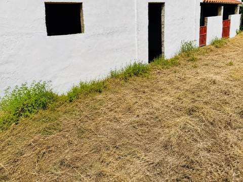 Oportunidade | Antes 395.000€, agora 350.000€ Charme Alentejano Casa com Piscina e Vistas Panorâmicas no Coração do Crato