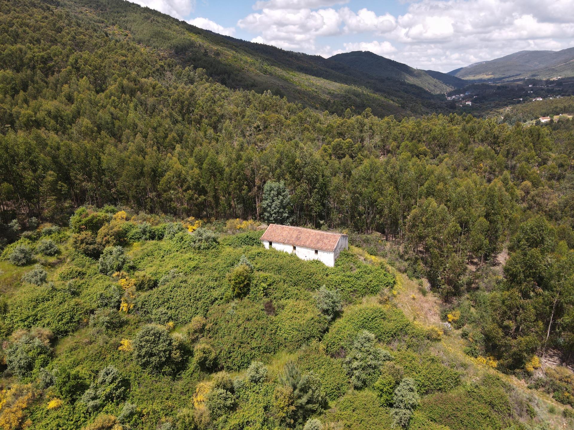 Propriedade com Habitação para Reabilitação e 37 Hectares de Natureza 
Property with House for Renovation and 37 Hectares of Nature
