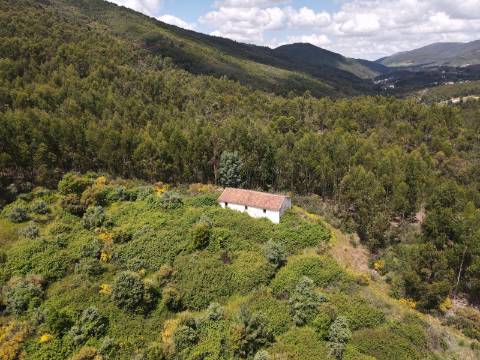 Propriedade com Habitação para Reabilitação e 37 Hectares de Natureza 
Property with House for Renovation and 37 Hectares of Nature