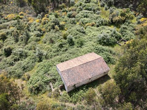 Propriedade com Habitação para Reabilitação e 37 Hectares de Natureza 
Property with House for Renovation and 37 Hectares of Nature