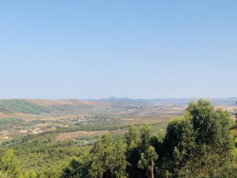 Propriedade com Habitação para Reabilitação e 37 Hectares de Natureza 
Property with House for Renovation and 37 Hectares of Nature