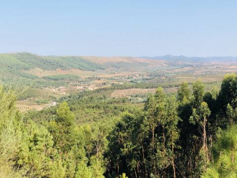 Propriedade com Habitação para Reabilitação e 37 Hectares de Natureza 
Property with House for Renovation and 37 Hectares of Nature