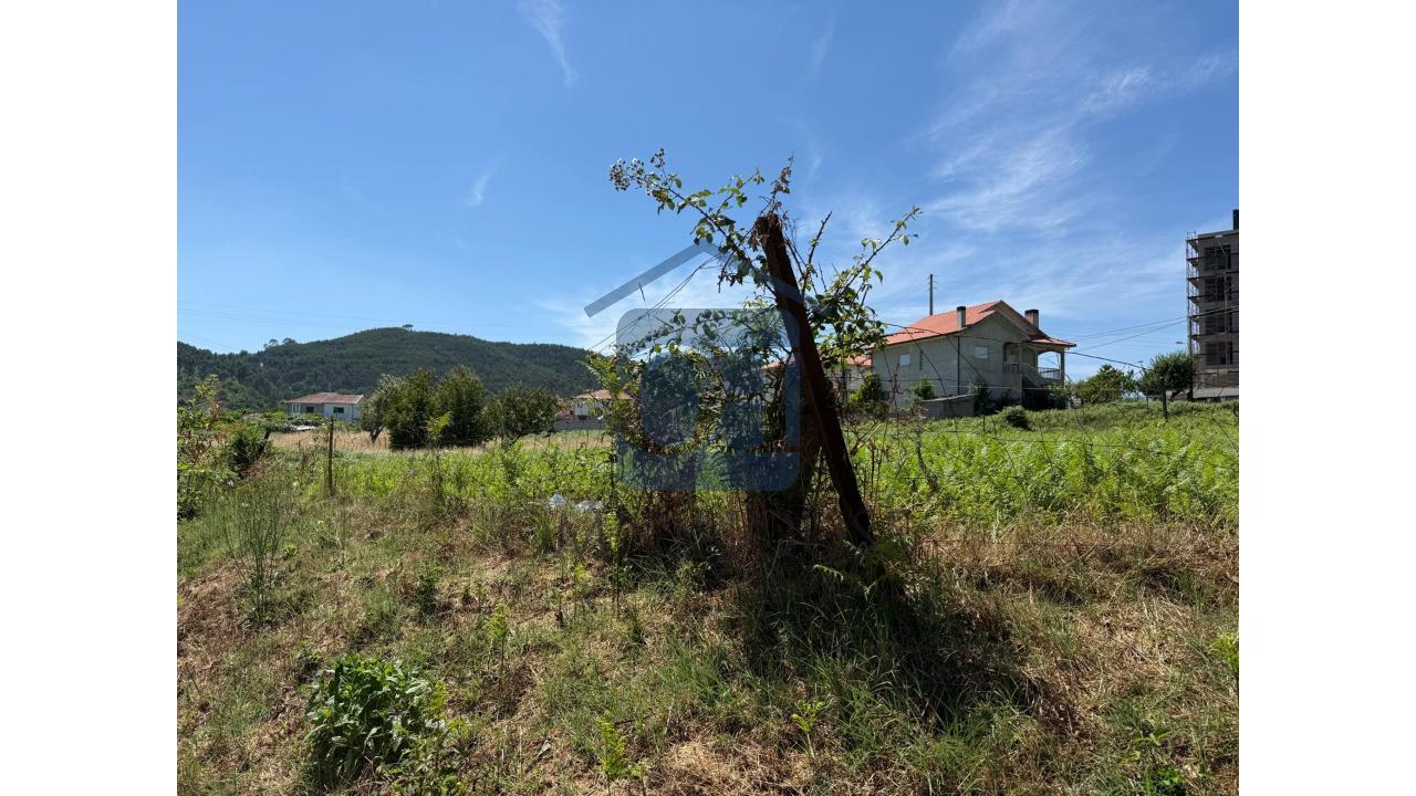 Terreno Urbano para Construção – Telões,...