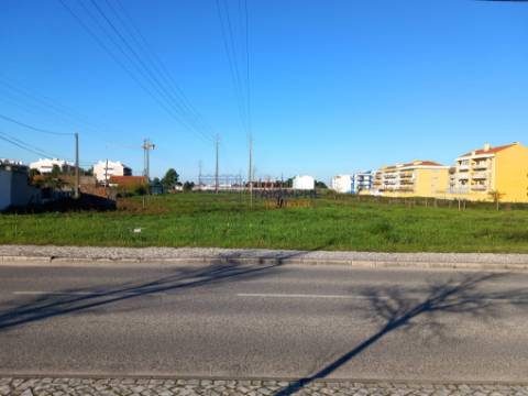 Terreno para construção 9.600m2 Marinha Grande
