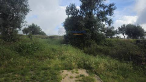 Moradia nova T3 Olalhas, Tomar