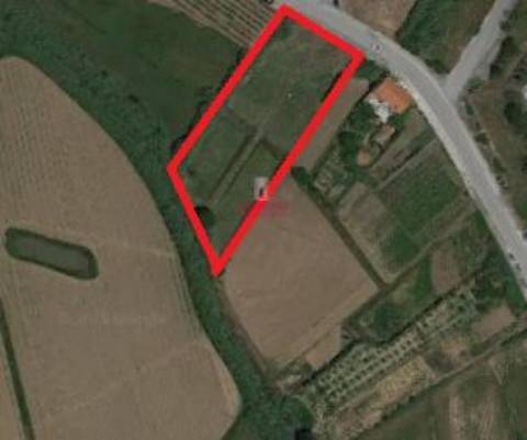 Terreno Rústico 4.520 m2 A-dos-Cunhados, Torres Vedras