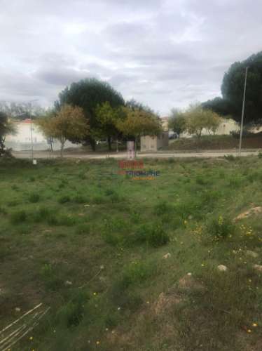 Terreno Urbano, 257m2, Entroncamento