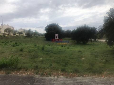 Terreno Urbano, 257m2, Entroncamento