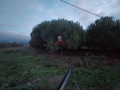 Terreno Urbano 1.430m² Batalha