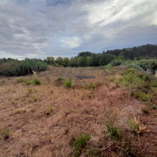 Terreno Urbano, P/ Construção de moradia e Terreno Rústico, Área 5.605 M2, Amor, Leiria 