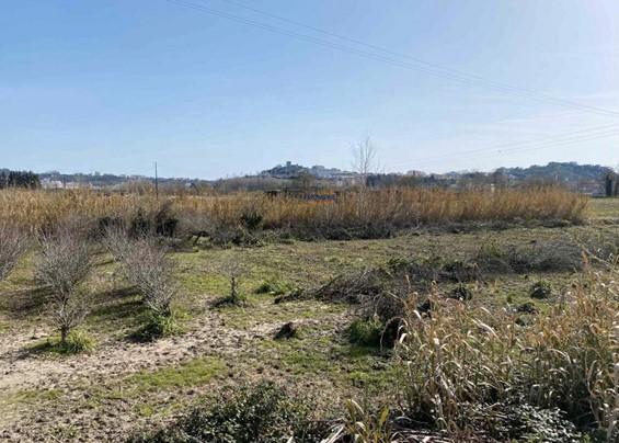 Terreno Marrazes-Leiria Gare
