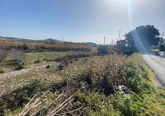 Terreno Marrazes-Leiria Gare