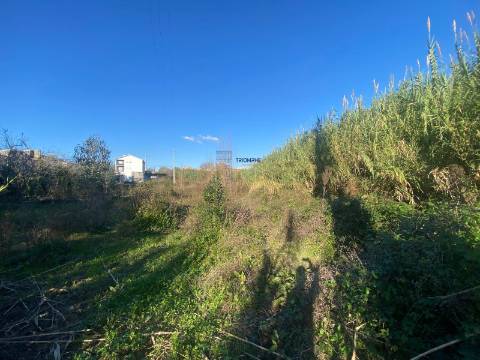 Terreno Marrazes-Leiria Gare