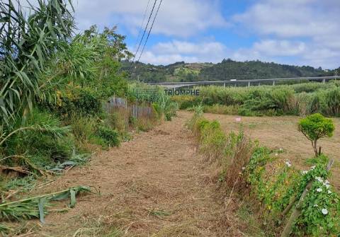 Terreno de 3463m2 com Ruina uma antiga Azenha em   Alfeizerão