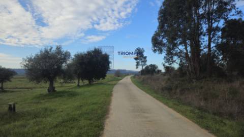 Terreno rústico com 29000m2, Montalvo, Constância