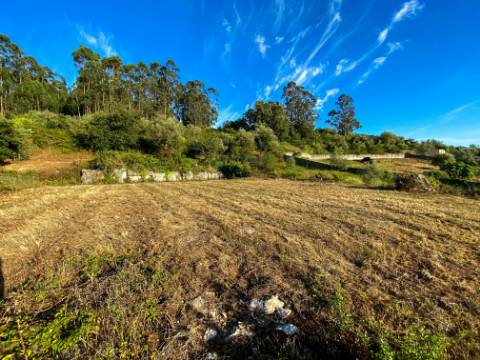 Terreno Rústico com Viabilidade de Construção - Carvalhinho, Porto de Mós