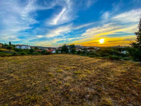 Terreno Rústico com Viabilidade de Construção - Carvalhinho, Porto de Mós