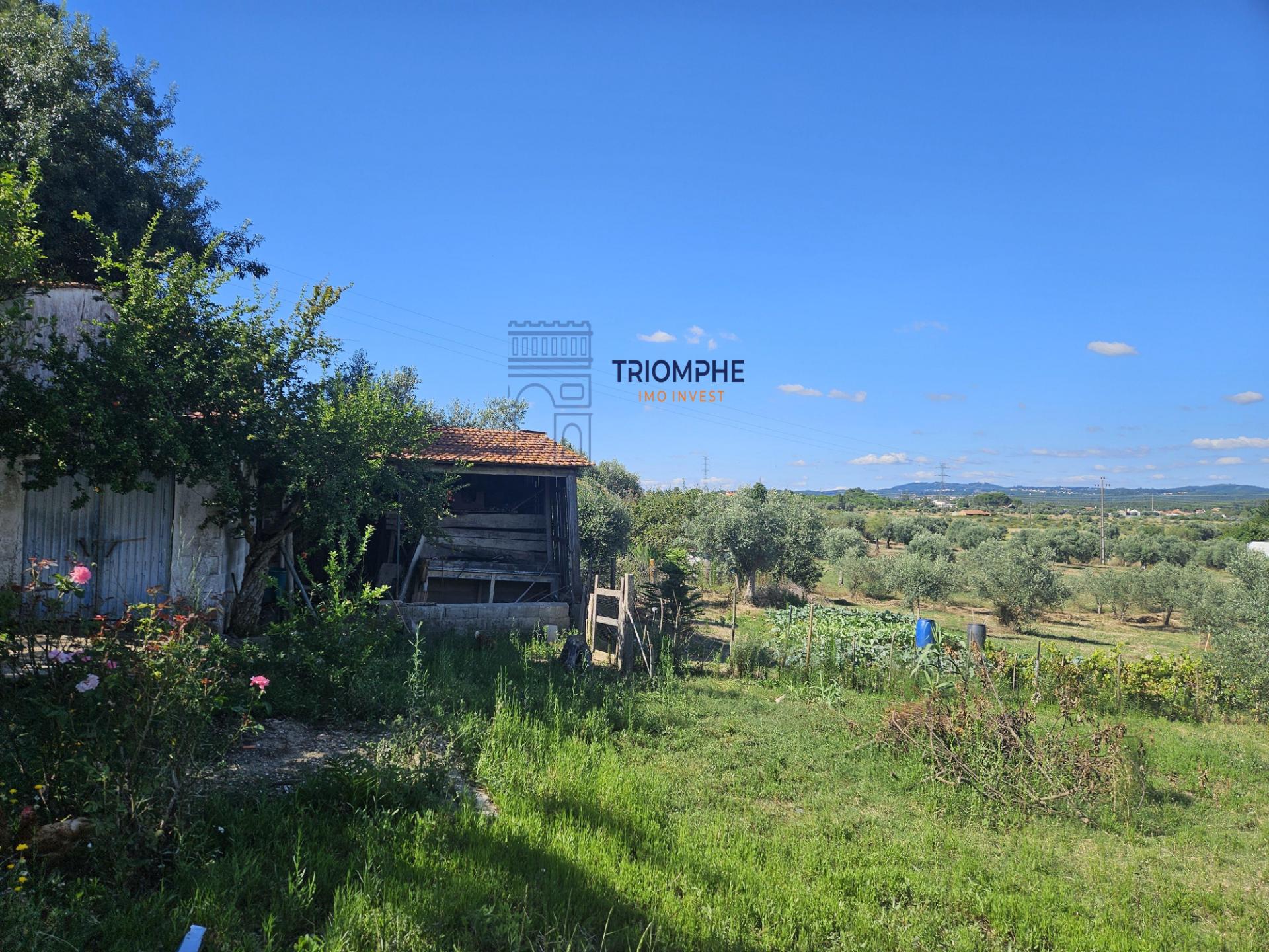 Quinta em terreno rústico, com parcela urbana