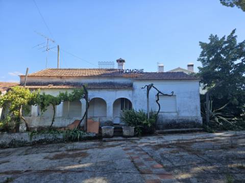 Quinta em terreno rústico, com parcela urbana