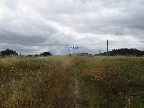 Terreno 32000m2 Asseiceira, Rio Maior