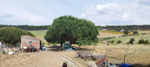 Terreno Rústico, A Dos Cunhados, Torres Vedras