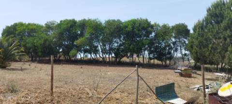 Terreno Rústico, A Dos Cunhados, Torres Vedras