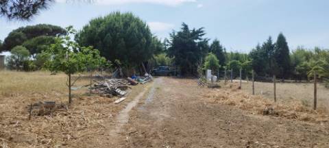 Terreno Rústico, A Dos Cunhados, Torres Vedras