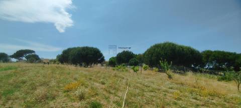 Terreno Rústico, A Dos Cunhados, Torres Vedras