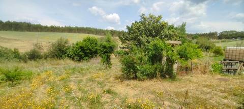 Terreno Rústico, A Dos Cunhados, Torres Vedras