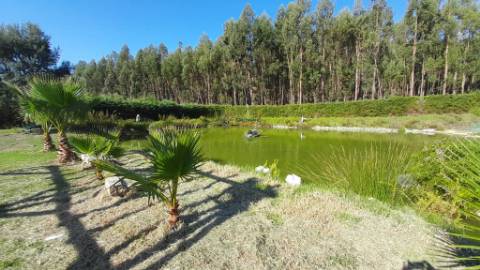 Quinta 20800m2 e Lago, C/ Projeto Aprovado P/ Moradia, Piscina e 4 T1
