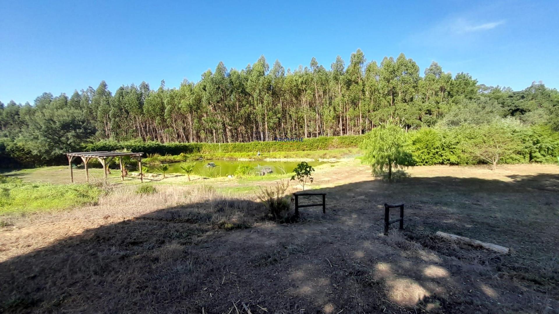 Quinta 20800m2 e Lago, C/ Projeto Aprovado P/ Moradia, Piscina e 4 T1