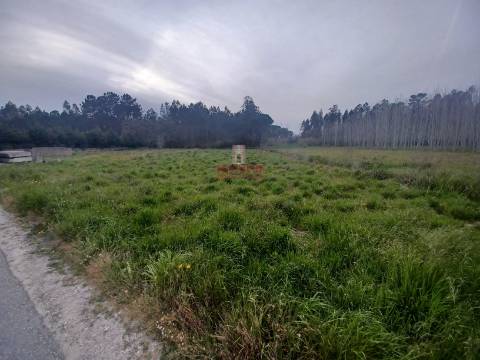 Terreno Rústico C/Poço 1.716m2 Amor Leiria