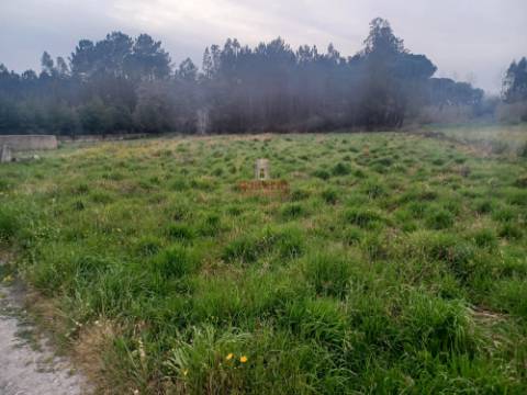 Terreno Rústico C/Poço 1.716m2 Amor Leiria
