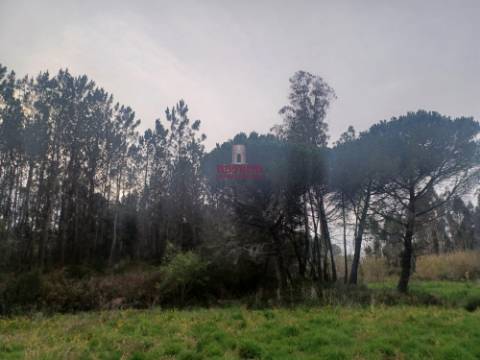 Terreno Rústico C/Poço 1.716m2 Amor Leiria