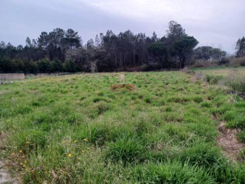 Terreno Rústico C/Poço 1.716m2 Amor Leiria