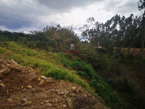 Terreno para Construção 2.975m2, Oliveira de Azeméis