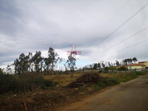 Terreno para Construção 2.975m2, Oliveira de Azeméis
