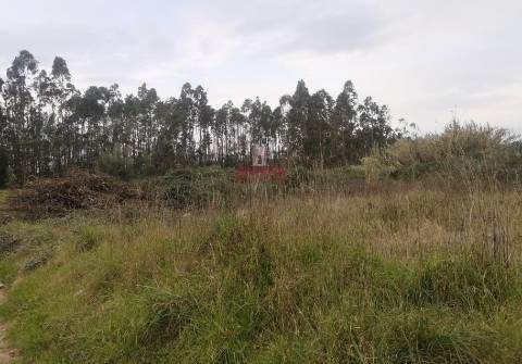 Terreno para Construção 2.975m2, Oliveira de Azeméis  