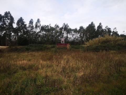 Terreno para Construção 2.975m2, Oliveira de Azeméis  